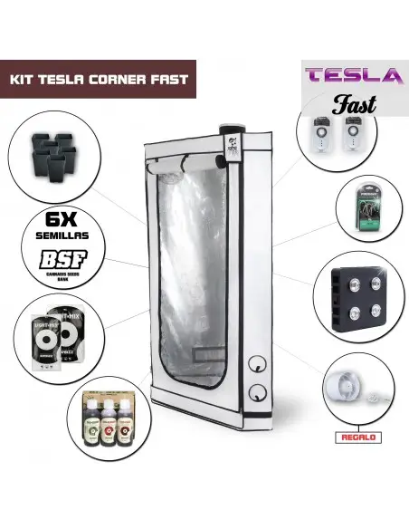 Kit Tesla Fast Corner - T360W
