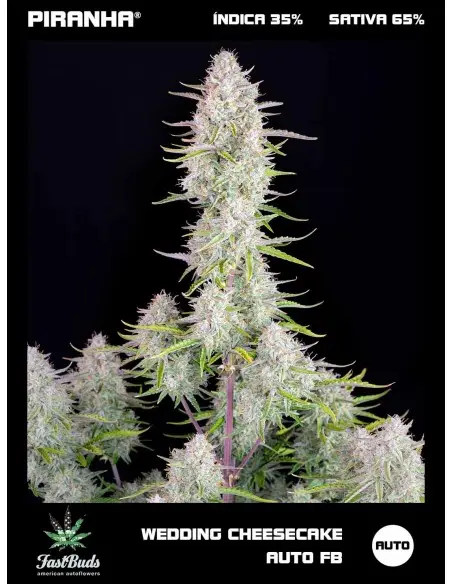 Wedding Cheesecake Auto...