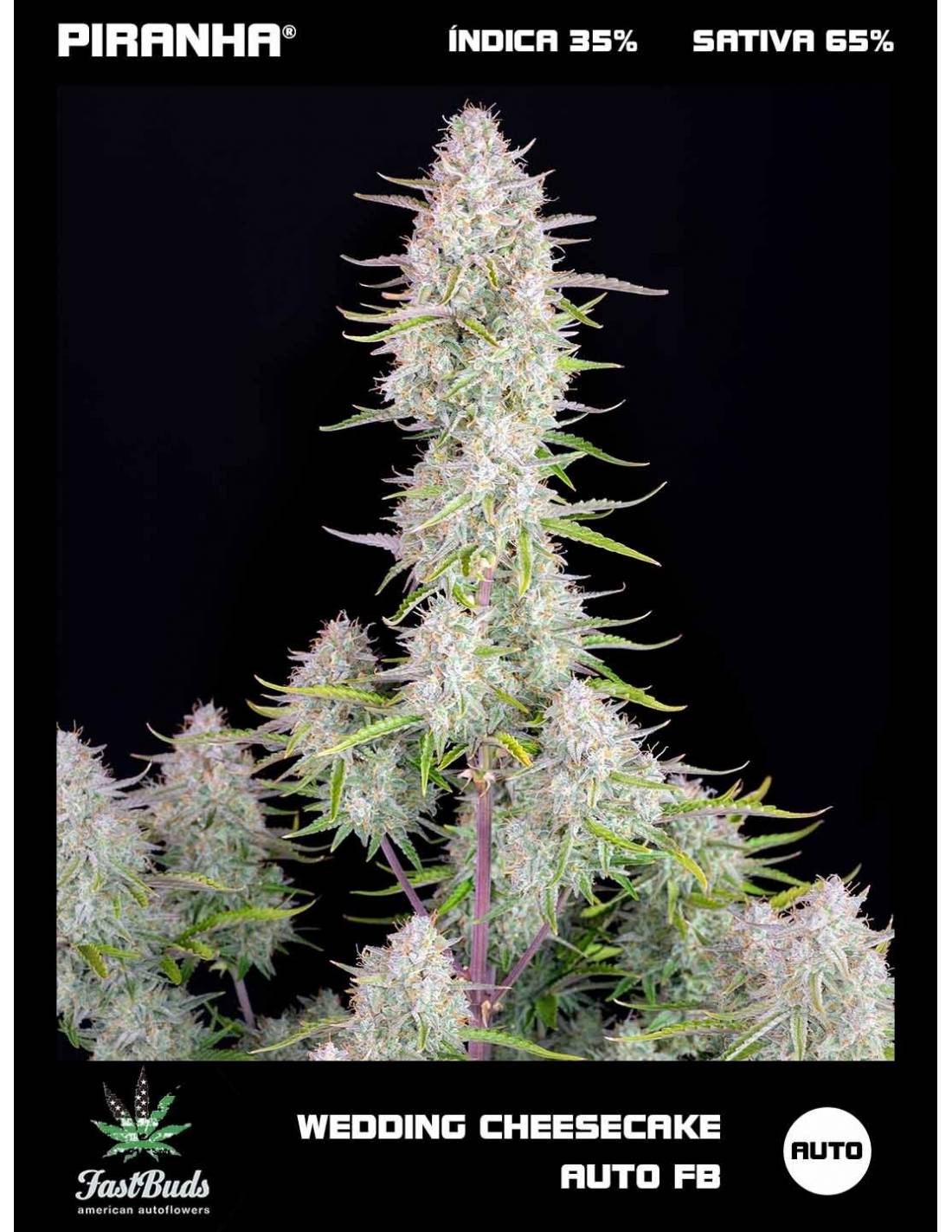 Wedding CheesecakeAuto Fast Buds