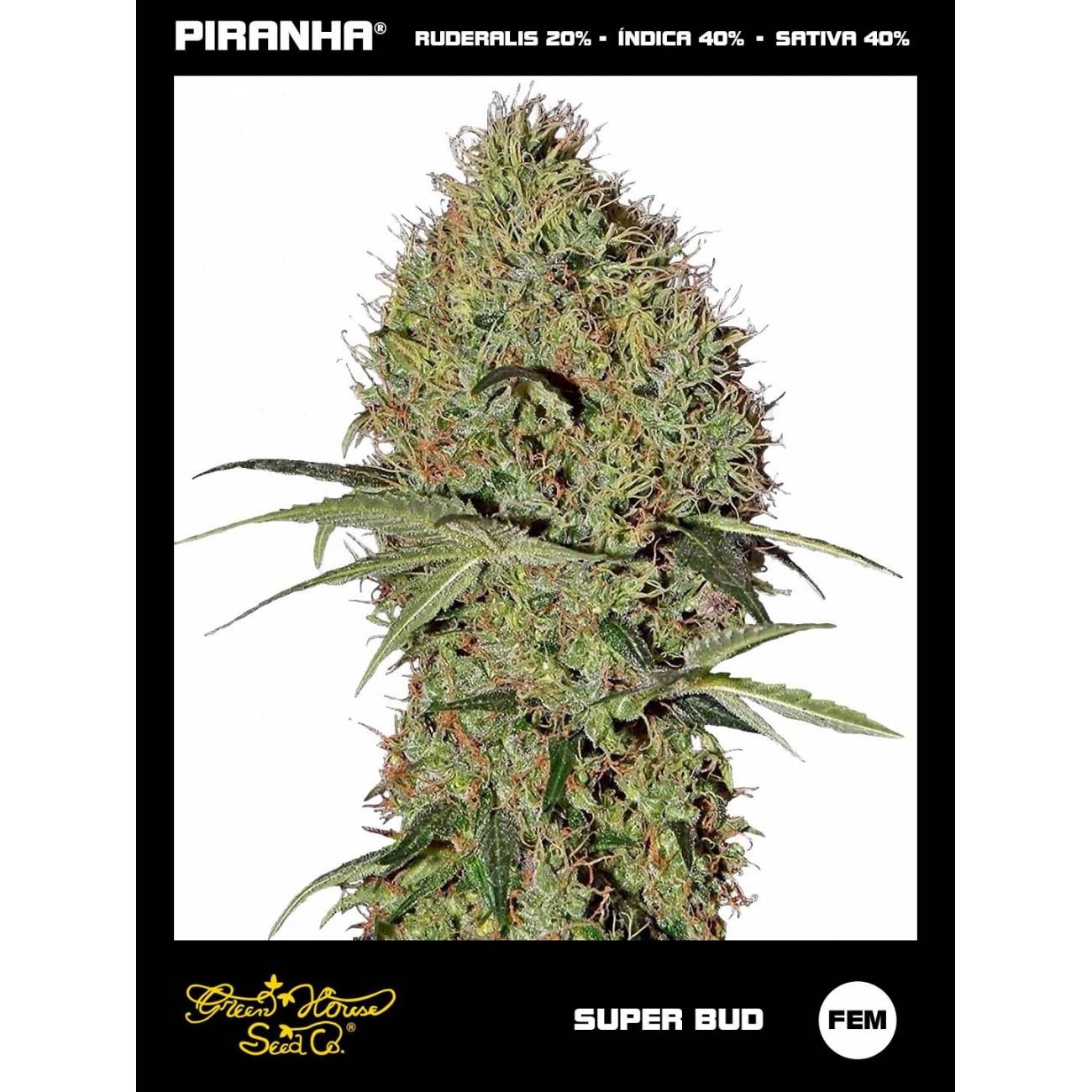 Super Bud (3u)