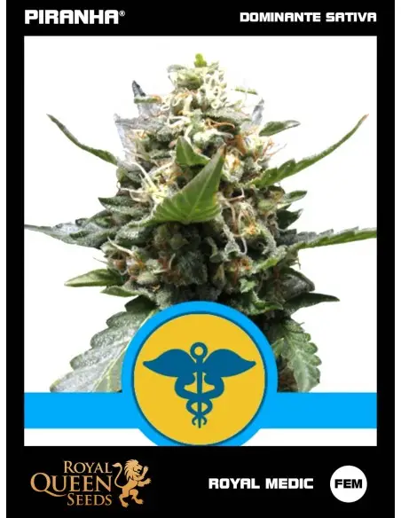 Royal Medic (1u/3u/5u/10u)