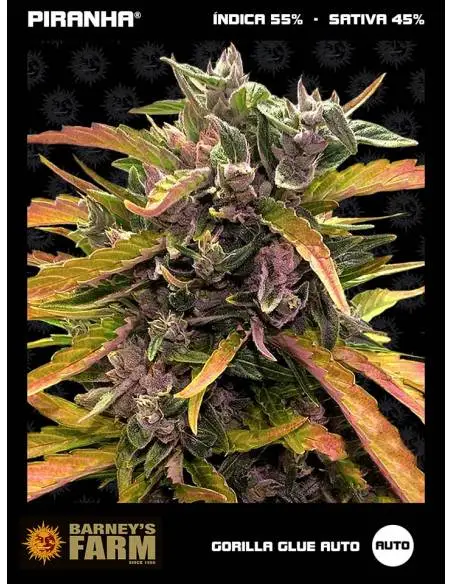 Gorilla Glue Auto (3u)