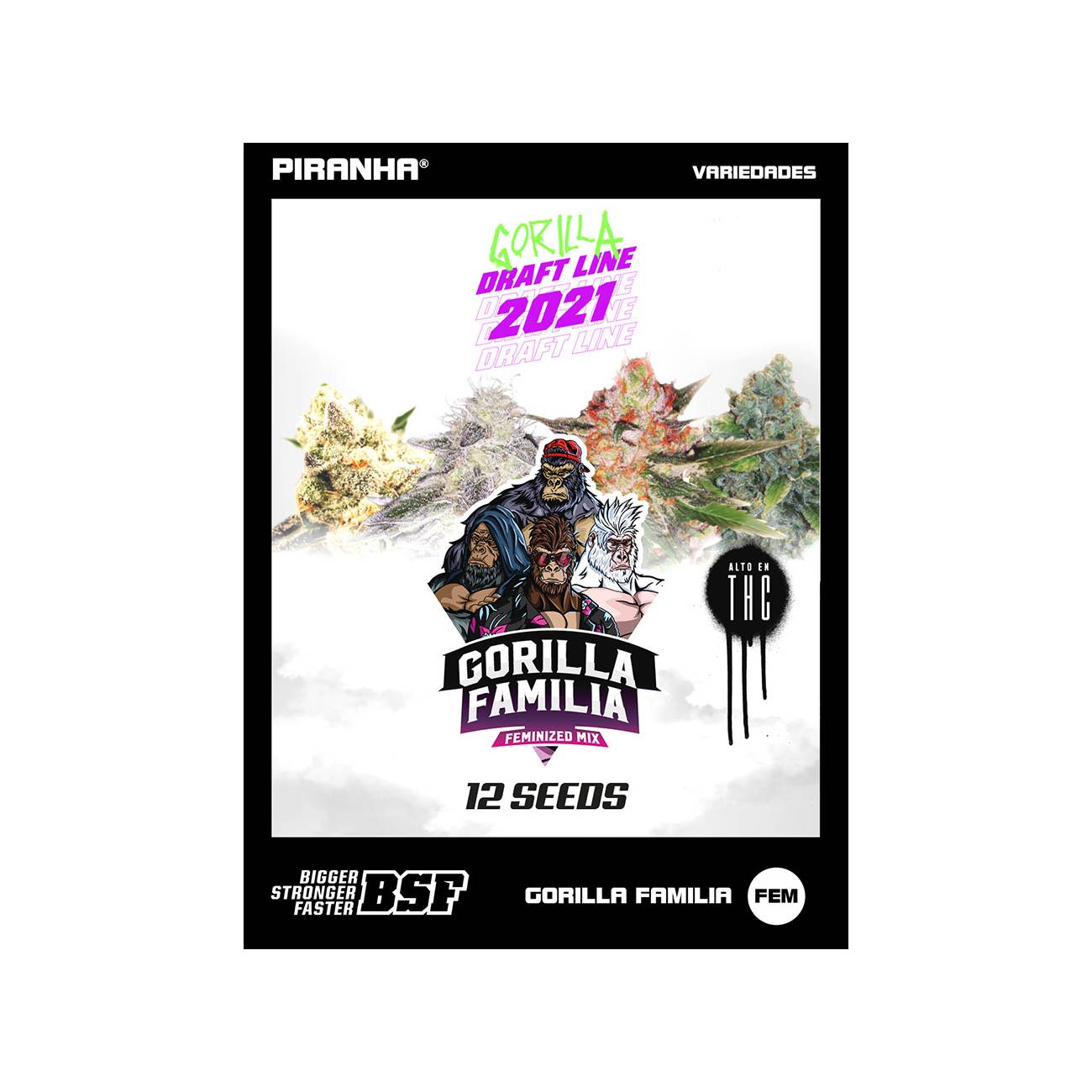 Gorilla Familia Feminized Mix (12u)
