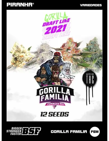 Gorilla Familia Feminized...