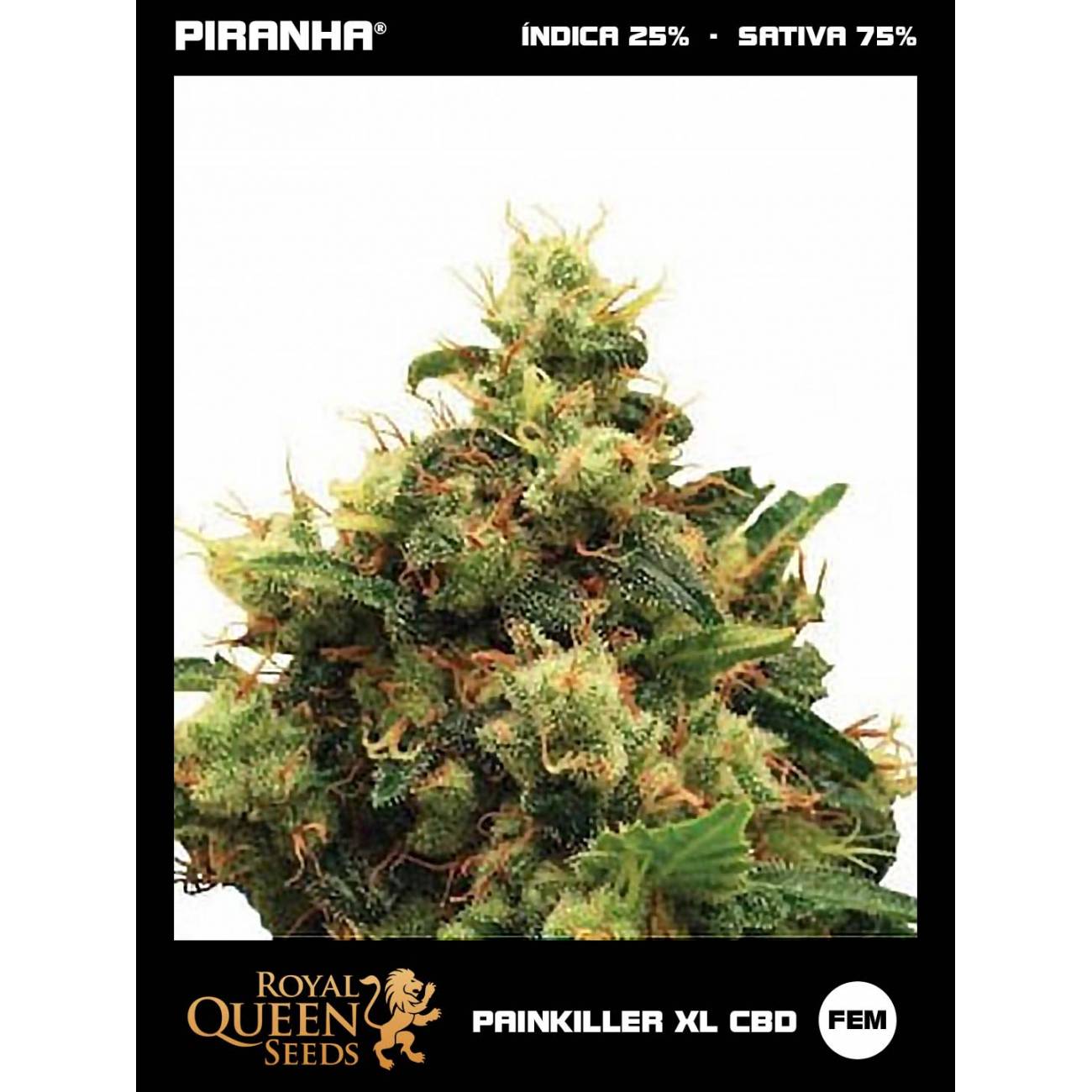 Painkiller XL CBD (1u/3u/5u/10u)