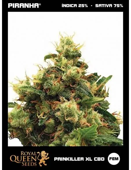 Painkiller XL CBD...