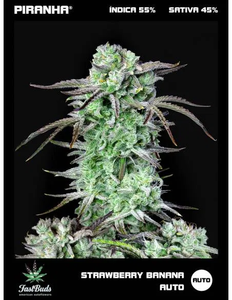 Strawberry Banana Auto...