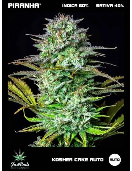 Kosher Cake Auto (1u/3+2u)