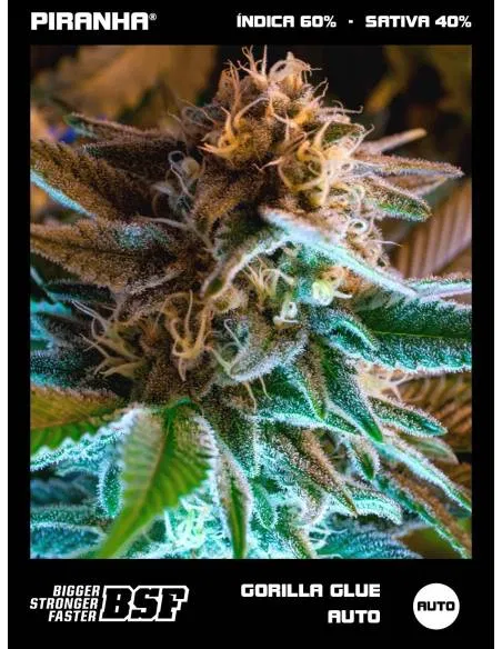 Gorilla Glue Auto (12u)