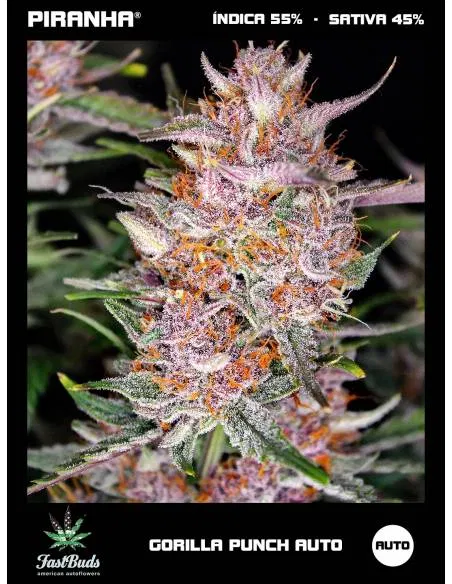 Gorilla Punch Auto (1u/3+2u)