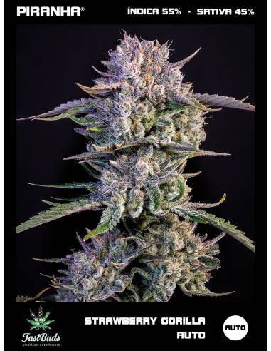 Strawberry Gorilla Auto (1u/3+2u/5+2)