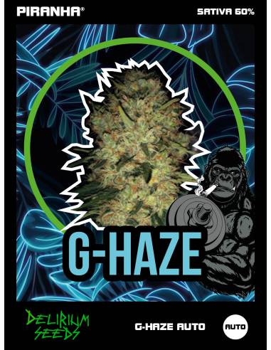G-Haze Auto (1u/2u/4u/7u)
