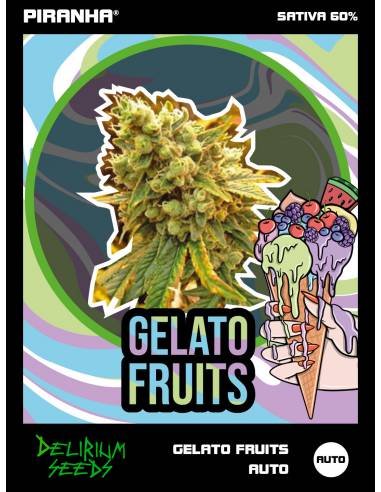 Gelato Fruits Auto (2u/4u/7u)