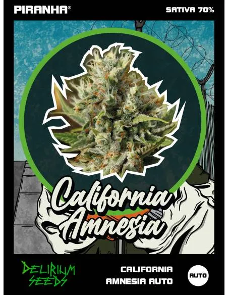 California Amnesia Auto...