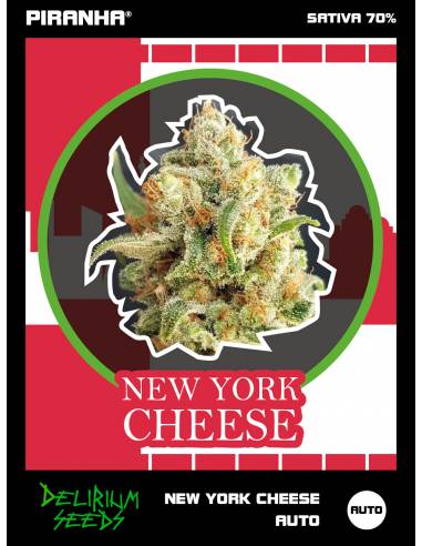 New York Cheese Auto (2u/4u/7u)