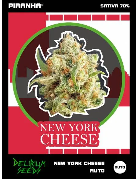 New York Cheese Auto...