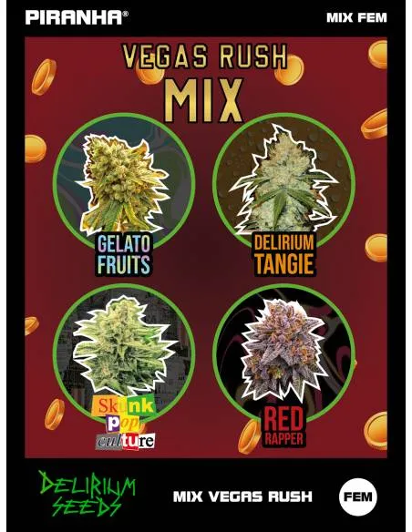 Mix Feminized Vegas Rush...