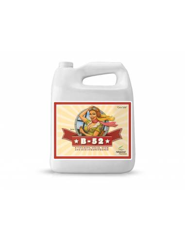 B-52 (250mL/500mL/1L/4L/5L)