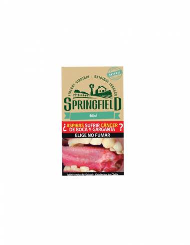 Tabaco Springfield 40g