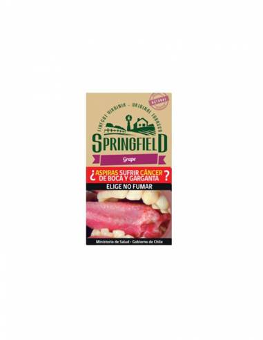Tabaco Springfield 40g