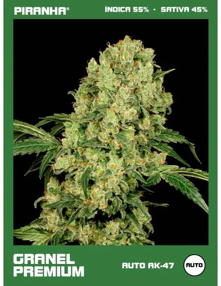 Auto AK-47