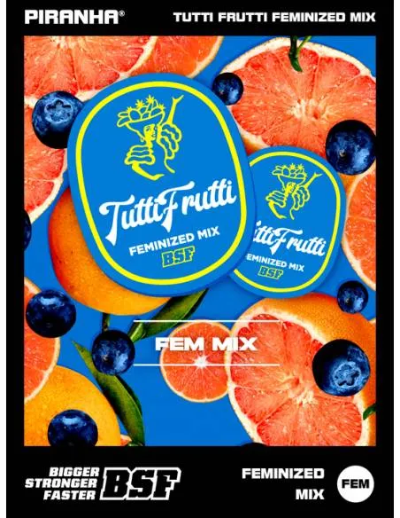 Tutti Frutti Feminized Mix...
