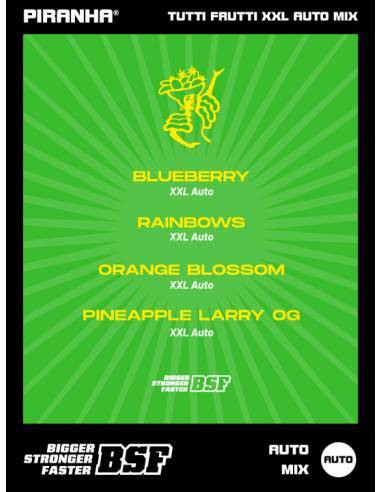 Tutti Frutti XXL Auto Mix (12u)