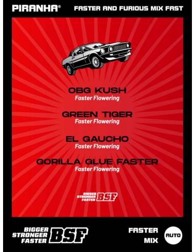 Faster and Furious Faster Mix (12u)