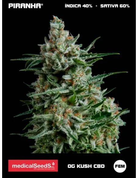OG Kush CBD (3+2u)