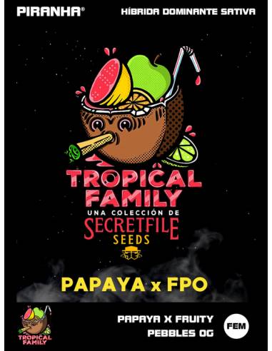 Papaya x FPO (3u)