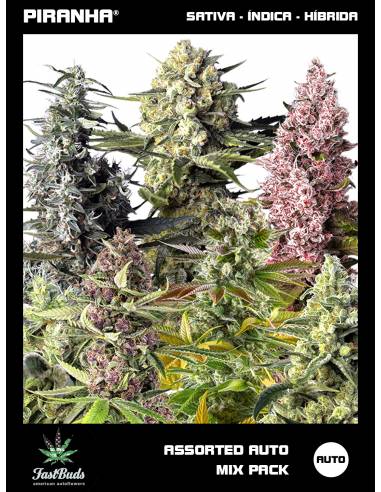 Assorted Auto Mix Pack (10u)