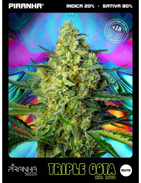 Triple Gota XXL Auto...