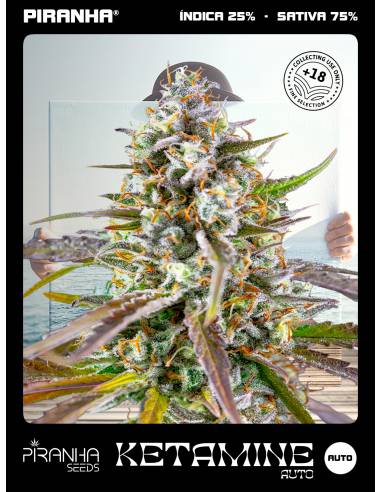 Ketamine Auto (1u/3+1u/5+2u/8+4u/25u)