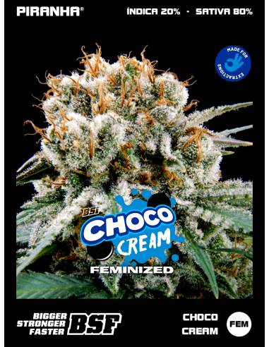 Choco Cream (2u/4u/7u/12u)