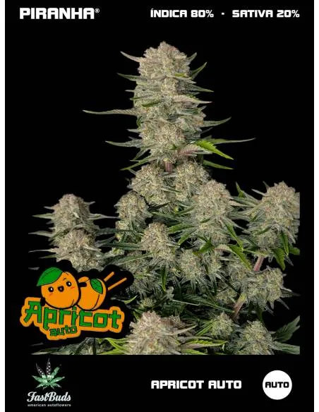 Apricot Auto (3+2u/5+3u)