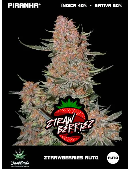 Ztrawberries Auto (3+2u)