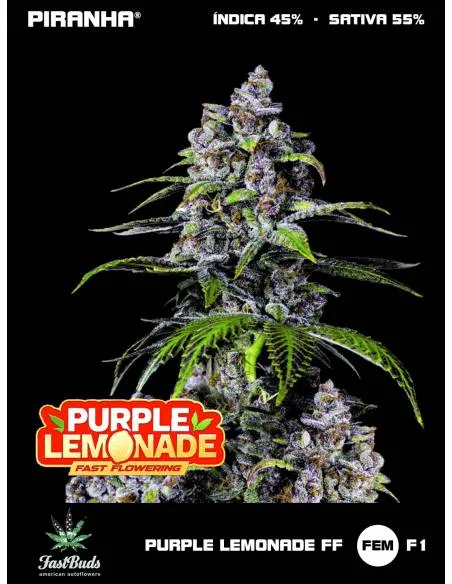 Purple Lemonade FF...