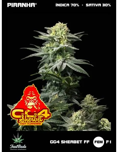 GG4 Sherbet FF (1u/3+2u/5+3u)