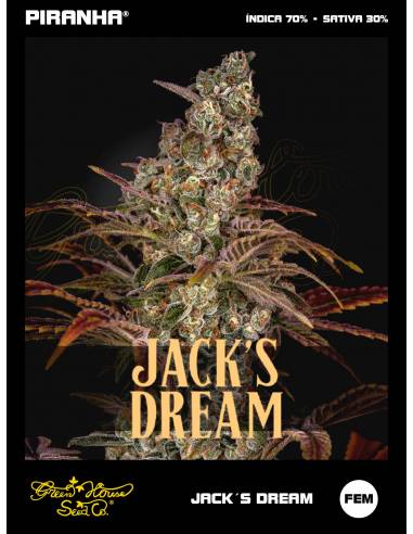 Jack´s Dream (3u)