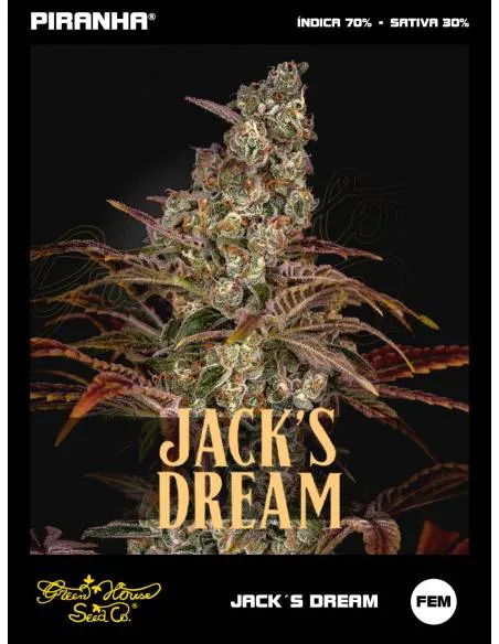 Jack´s Dream (3u)