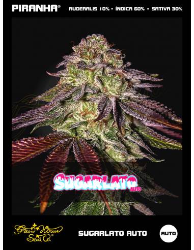 Sugarlato Auto (3u)