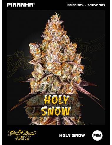 Holy Snow (3u)