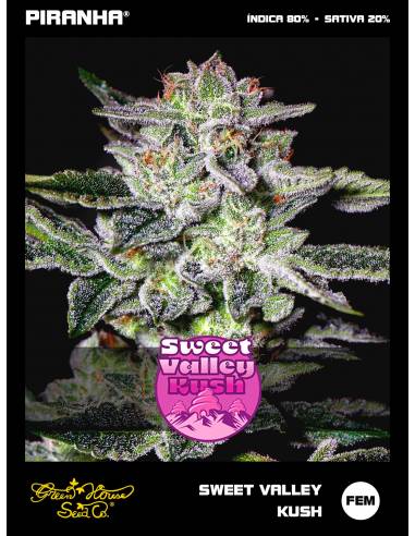 Sweet Valley Kush (3u)