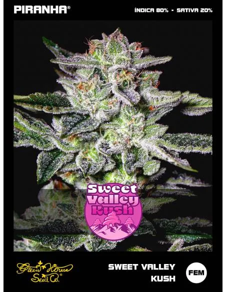 Sweet Valley Kush (3u)