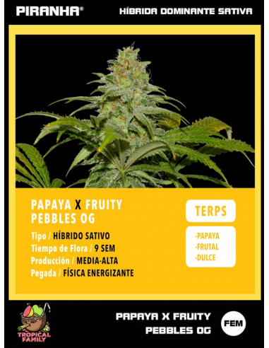 Papaya x FPO (3+1u/25u)