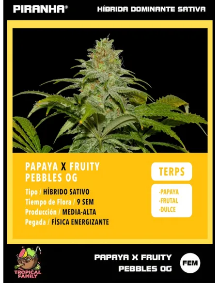 Papaya x FPO (3+1u/25u)