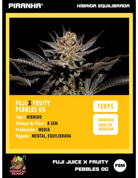 Fuji Juice x FPO (3+1u/25u)