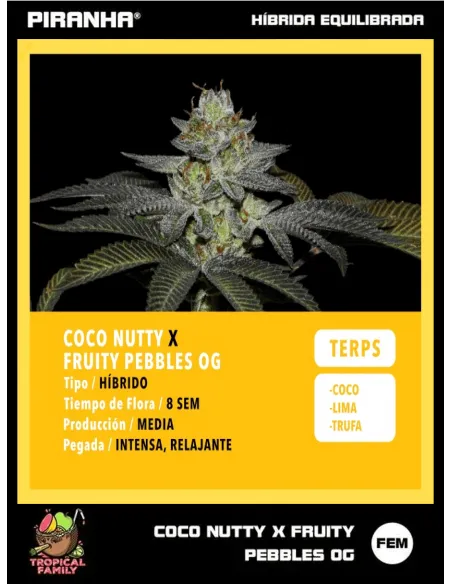 Coco Nutty x FPO (3+1u/25u)