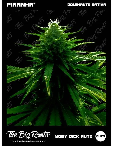 The Big Roots Moby Dick...