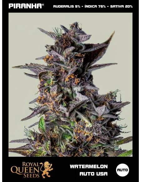 Watermelon Auto USA...